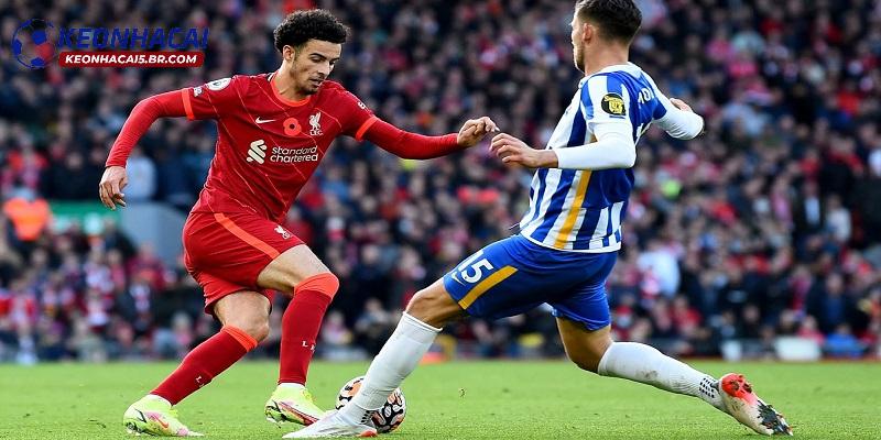 Soi kèo Brighton vs Liverpool Soi kèo Brighton vs Liverpool