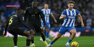 Soi kèo Sunderland vs Brighton