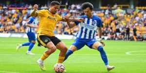Nhận định Brighton vs Wolves