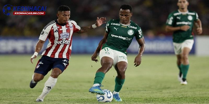 Nhận định Palmeiras vs Atletico Junior Nhận định Palmeiras vs Atletico Junior