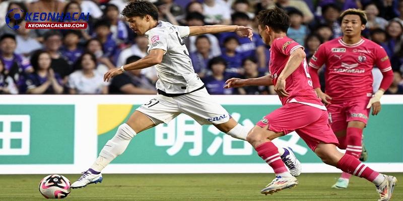 Nhận định Sanfrecce Hiroshima vs Nagoya Nhận định Sanfrecce Hiroshima vs Nagoya
