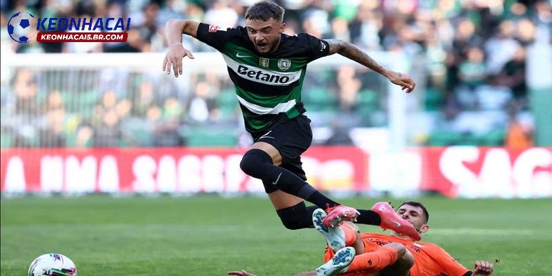 Nhận định Estrela vs Sporting Lisbon Nhận định Estrela vs Sporting Lisbon